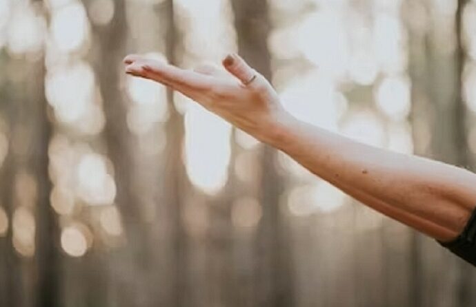 A person in a peaceful yoga pose, symbolizing the journey of a Wellness Warrior towards a vibrant and balanced life.