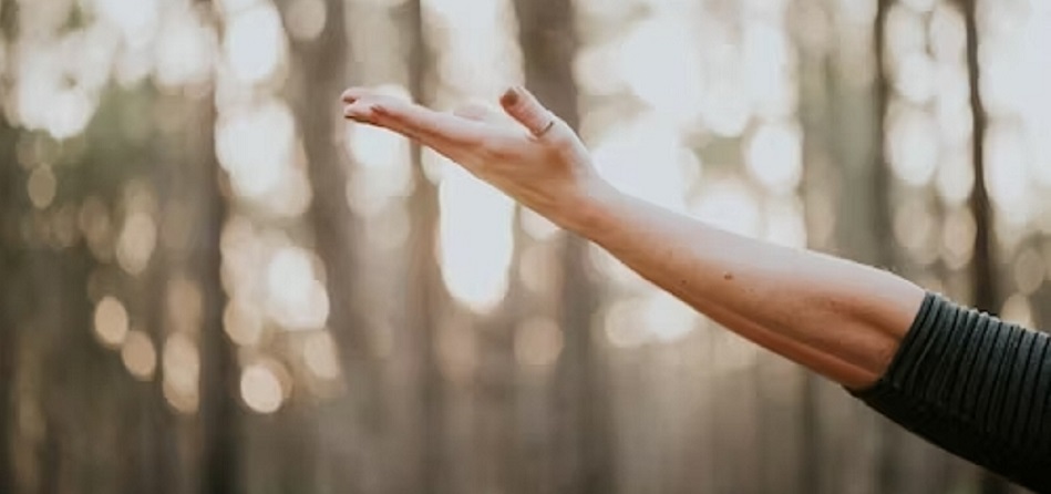 A person in a peaceful yoga pose, symbolizing the journey of a Wellness Warrior towards a vibrant and balanced life.